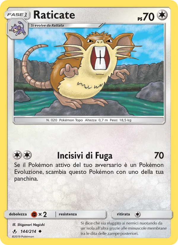 Raticate Legami Inossidabili 144/214