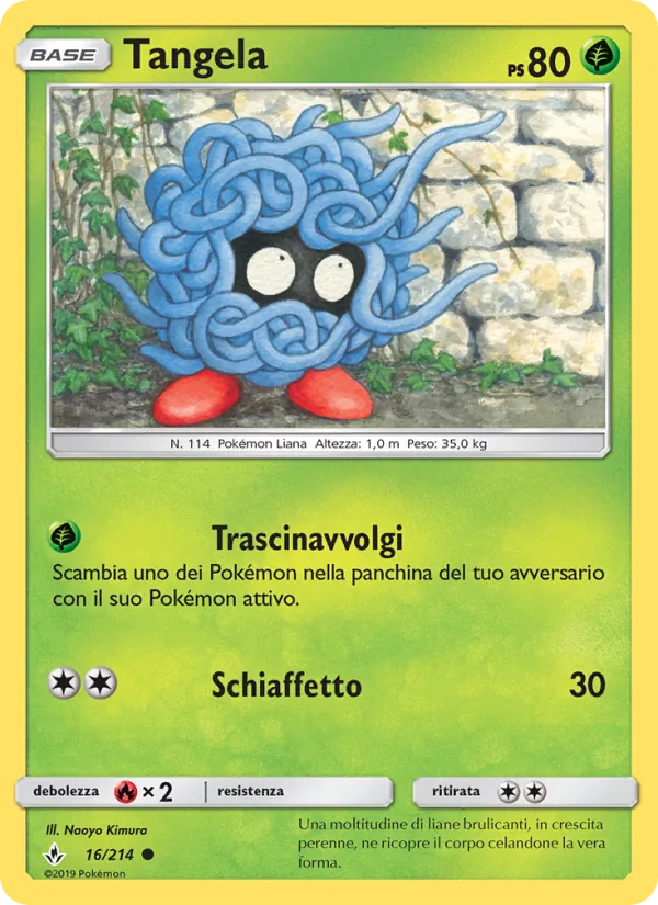 Tangela Legami Inossidabili 16/214