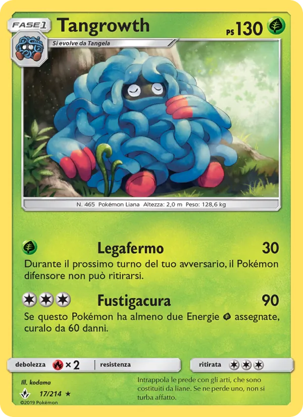 Tangrowth Legami Inossidabili 17/214