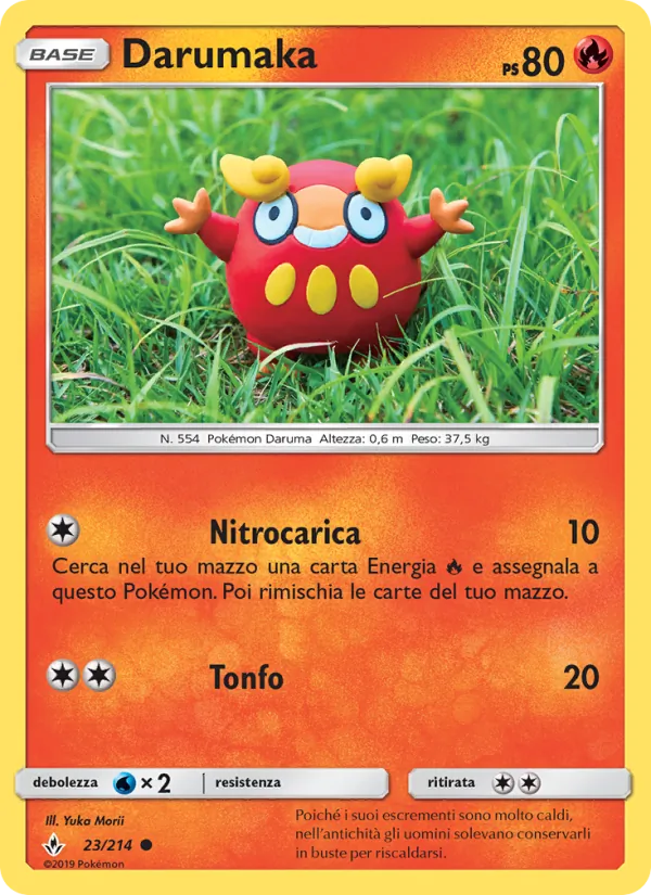 Darumaka Legami Inossidabili 23/214