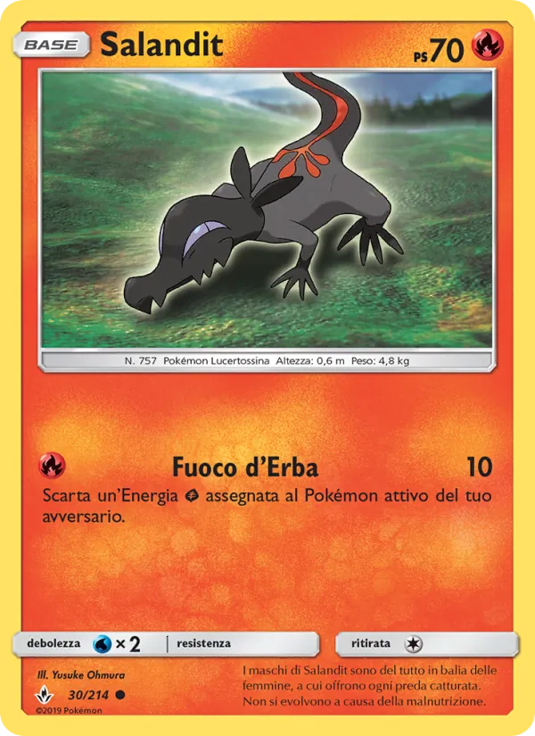 Salandit Legami Inossidabili 30/214