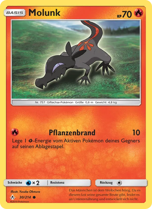 Molunk Kräfte im Einklang 30/214