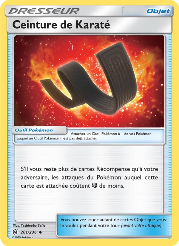 Ceinture de Karaté Harmonie des Esprits 201/236