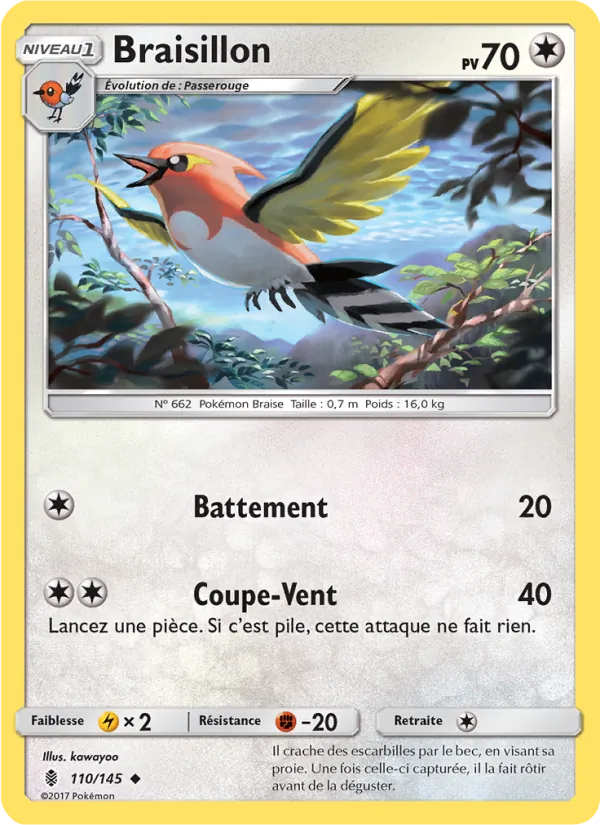 Braisillon Gardiens Ascendants 110/145