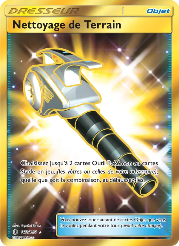 Nettoyage de Terrain Gardiens Ascendants 163/145