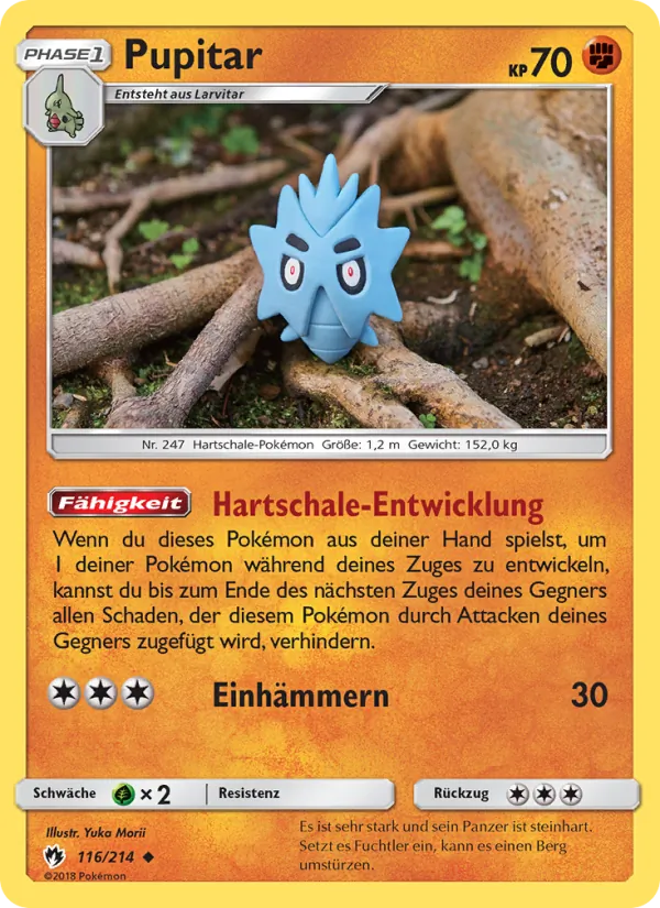 Pupitar Echo des Donners 116/214