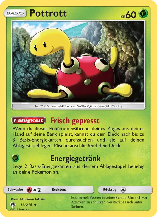 Pottrott Echo des Donners 16/214