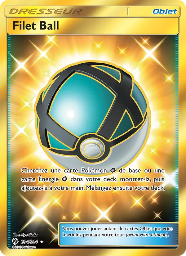 Filet Ball Tonnerre Perdu 234/214