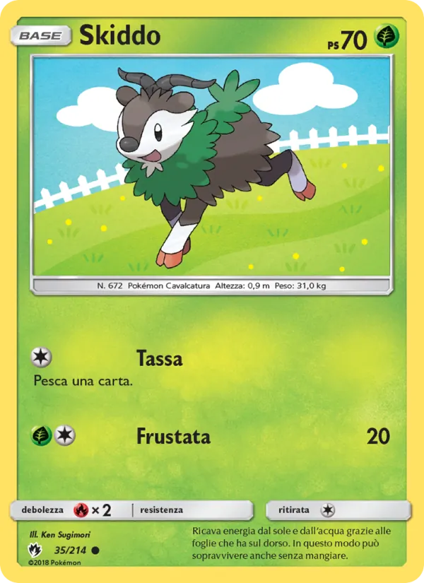 Skiddo Tuoni Perduti 35/214