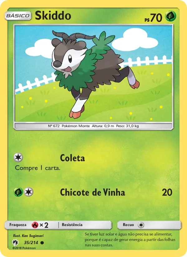 Skiddo Trovões Perdidos 35/214
