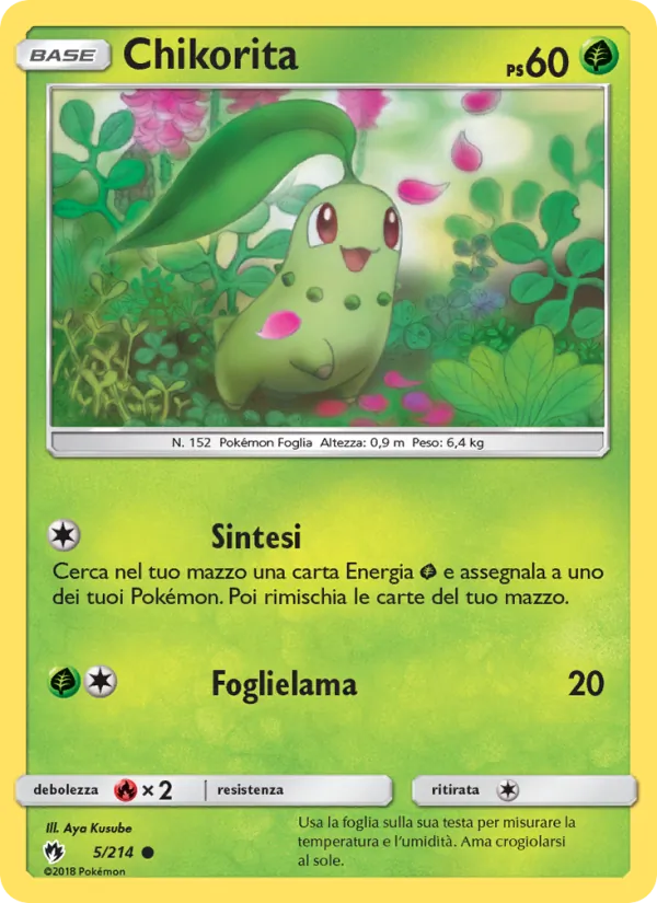 Chikorita Tuoni Perduti 5/214