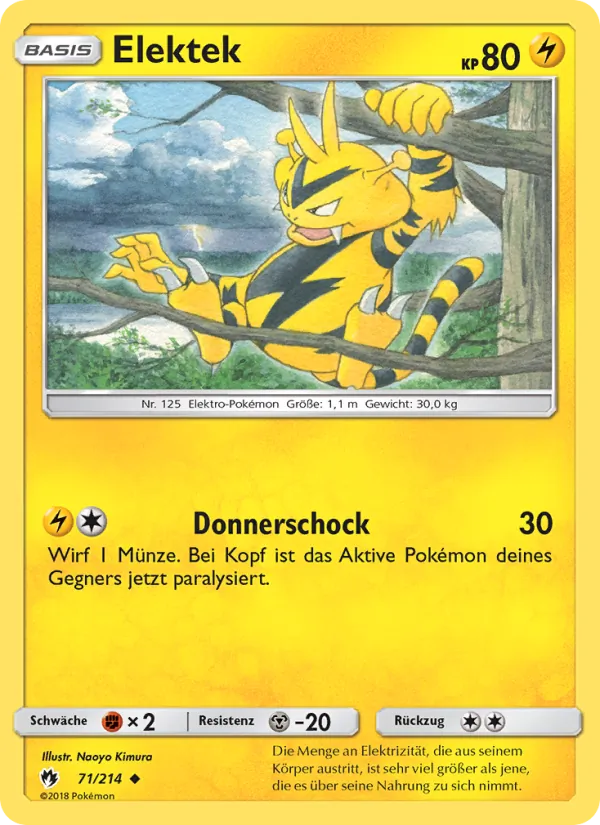 Elektek Echo des Donners 71/214