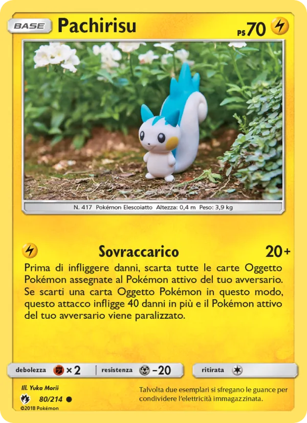 Pachirisu Tuoni Perduti 80/214