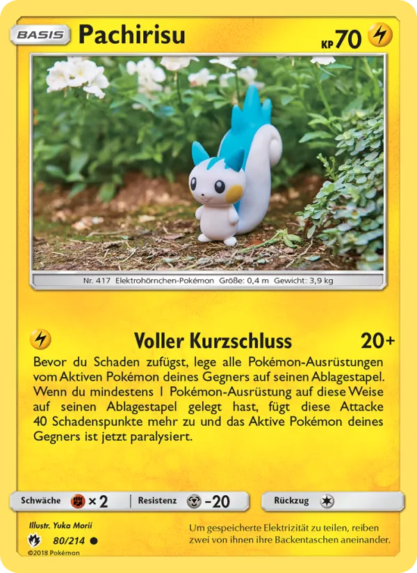 Pachirisu Echo des Donners 80/214