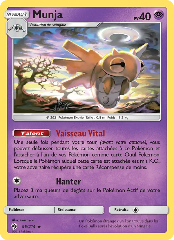 Munja Tonnerre Perdu 95/214