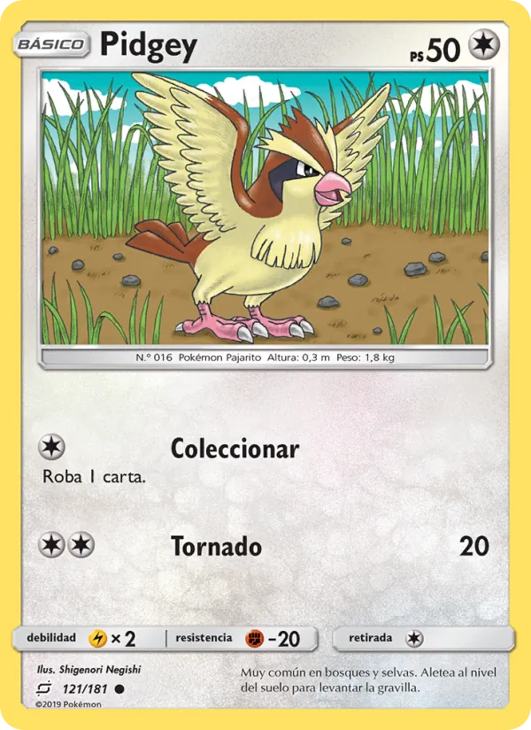 Pidgey Union de Aliados 121/181