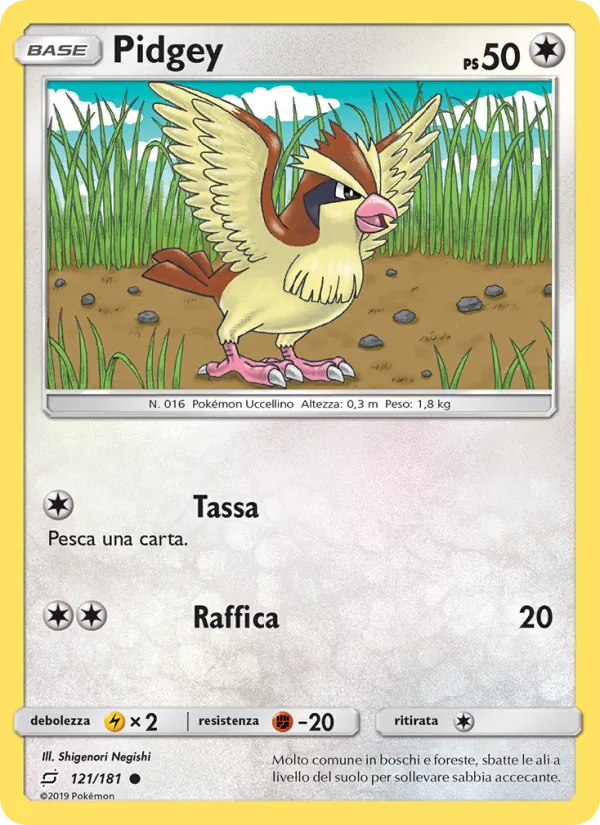 Pidgey Gioco di Squadra 121/181