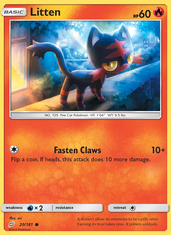 Litten Team Up 20/181