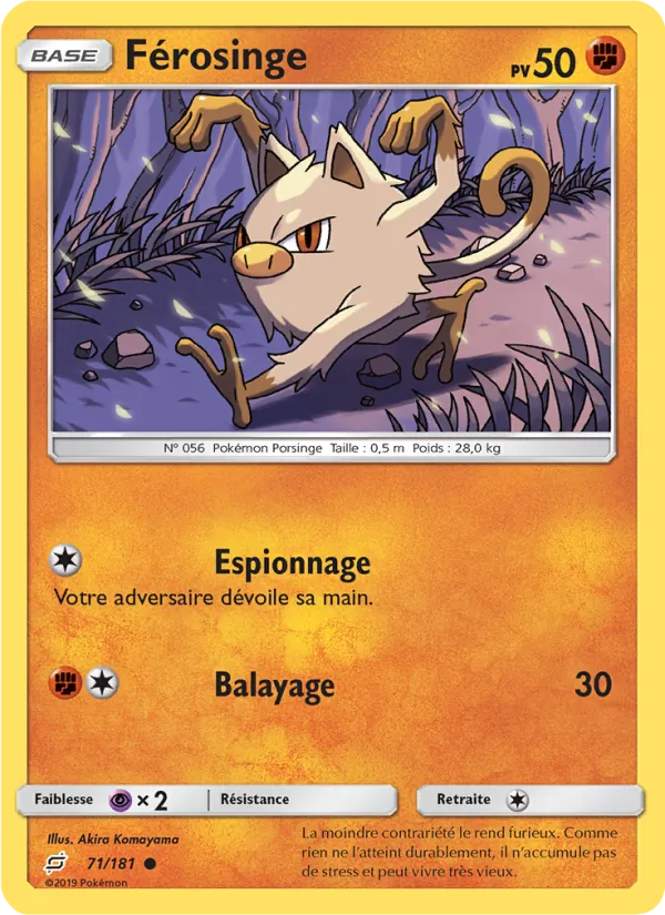 Férosinge Duo de Choc 71/181