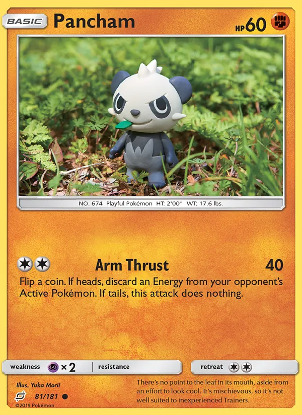 Pancham Team Up 81/181