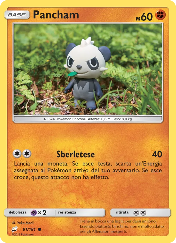 Pancham Gioco di Squadra 81/181