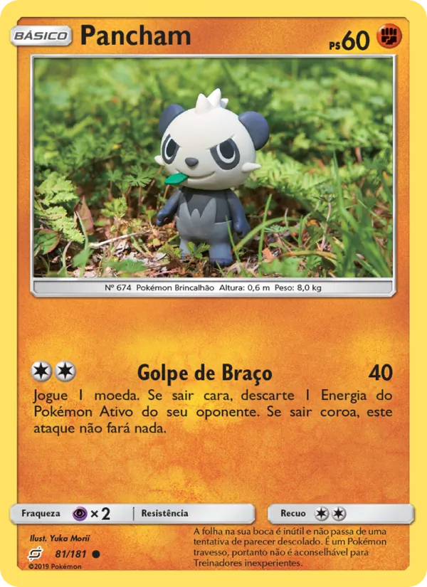 Pancham União de Aliados 81/181