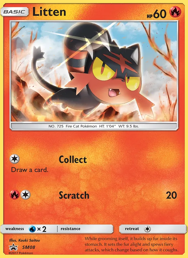 Litten SM Black Star Promos SM08/248
