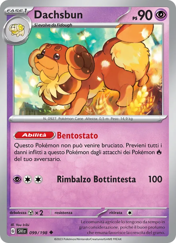 Dachsbun Scarlatto e Violetto 099/198