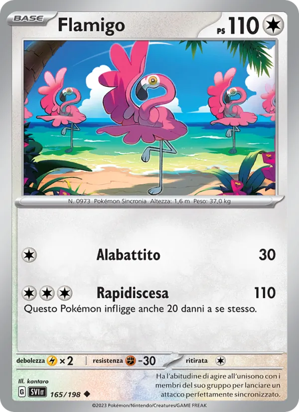 Flamigo Scarlatto e Violetto 165/198
