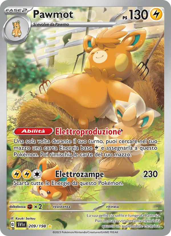Pawmot Scarlatto e Violetto 209/198