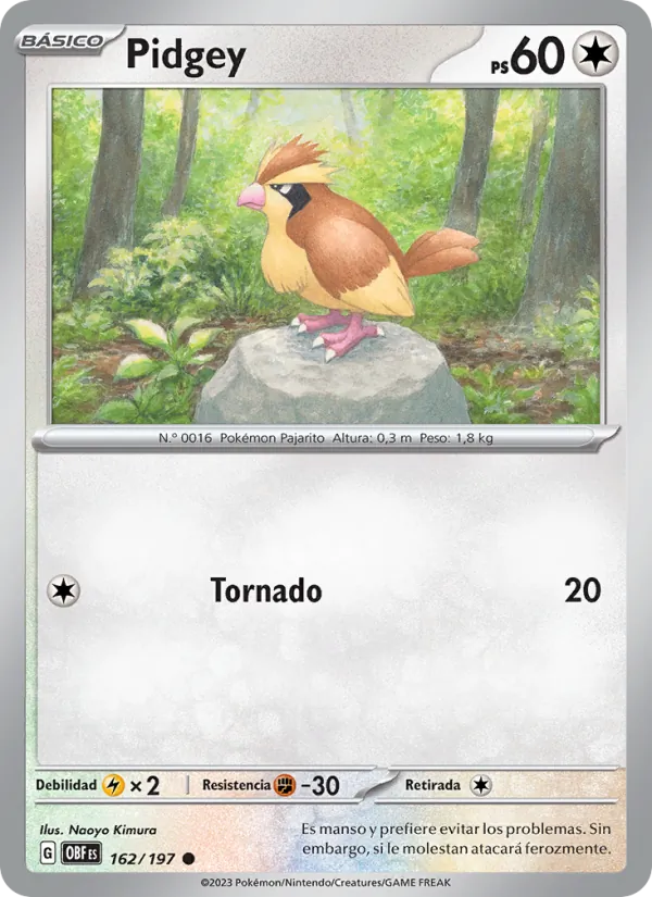 Pidgey Llamas Obsidianas 162/197