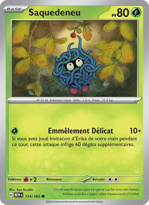 Saquedeneu 151 114/165