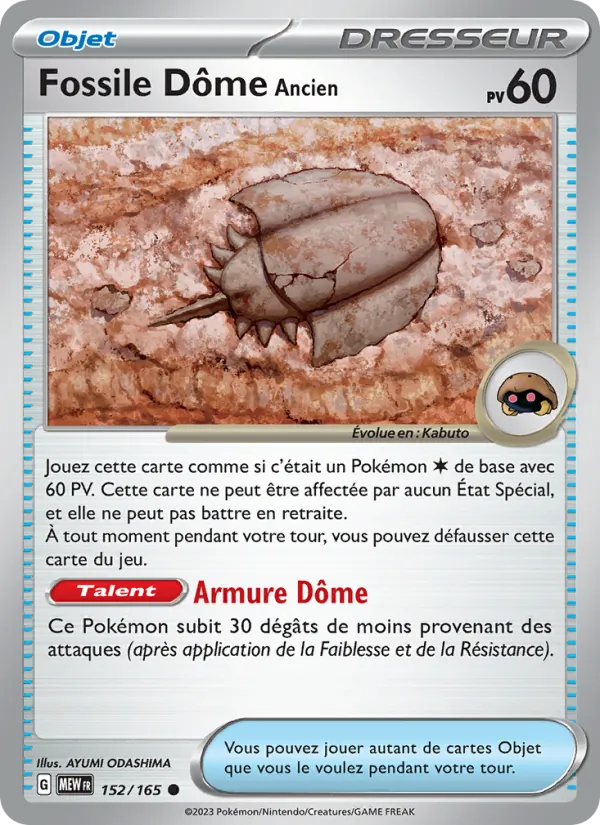 Fossile Dôme Ancien 151 152/165