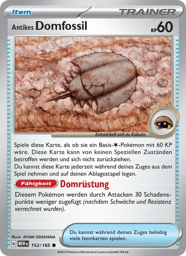 Antikes Domfossil 151 152/165