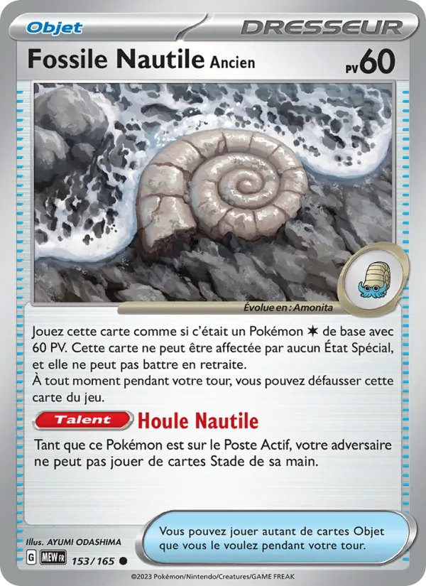 Fossile Nautile Ancien 151 153/165