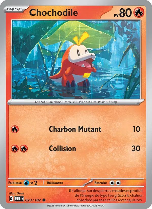 Chochodile Faille Paradoxe 023/182