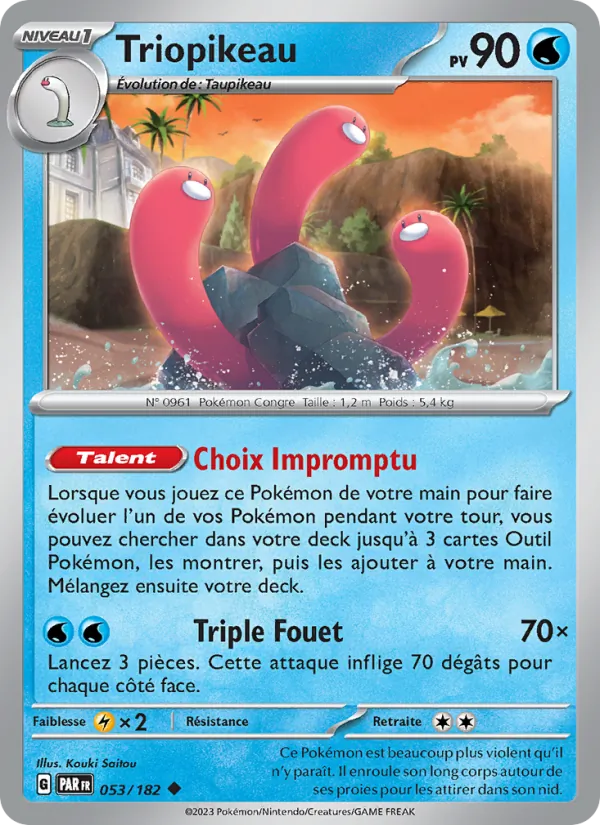 Triopikeau Faille Paradoxe 053/182