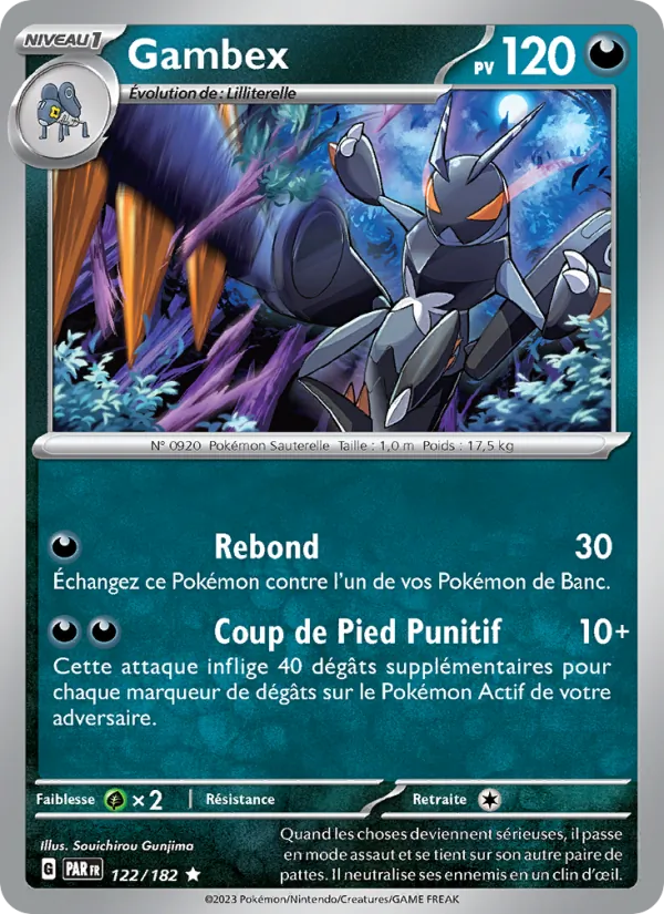 Gambex Faille Paradoxe 122/182
