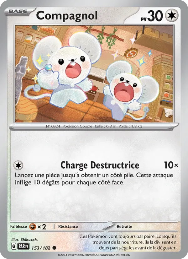 Compagnol Faille Paradoxe 153/182