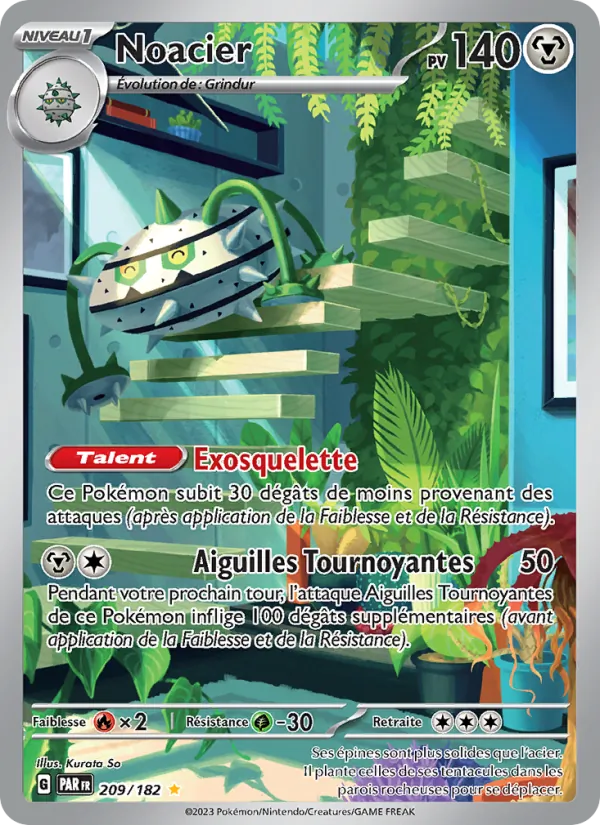 Noacier Faille Paradoxe 209/182