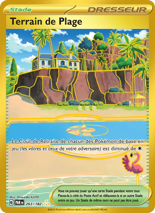 Terrain de Plage Faille Paradoxe 263/182