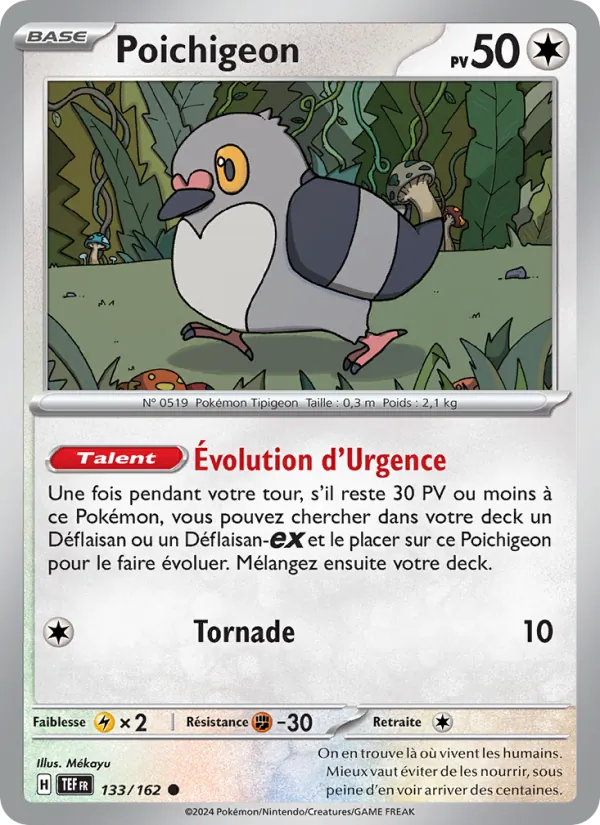 Poichigeon Forces Temporelles 133/162