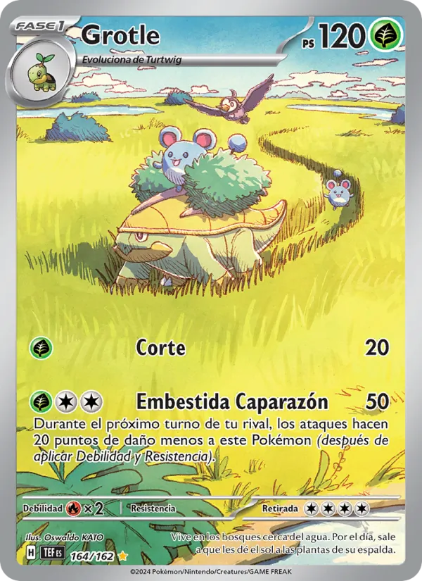 Grotle Fuerzas Temporales 164/162