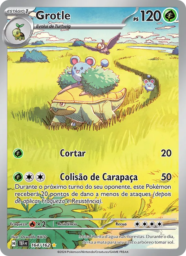 Grotle Forças Temporais 164/162