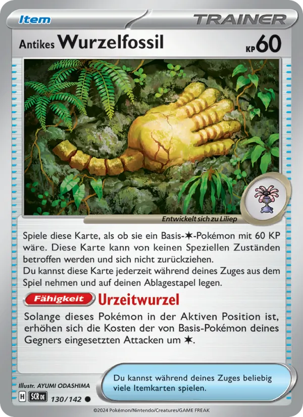 Antikes Wurzelfossil Stellarkrone 130/142