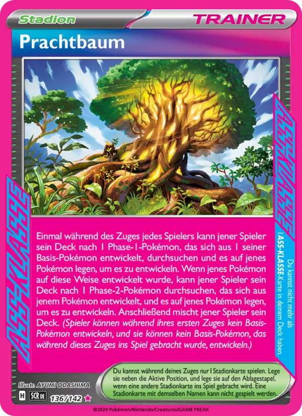 Prachtbaum Stellarkrone 136/142
