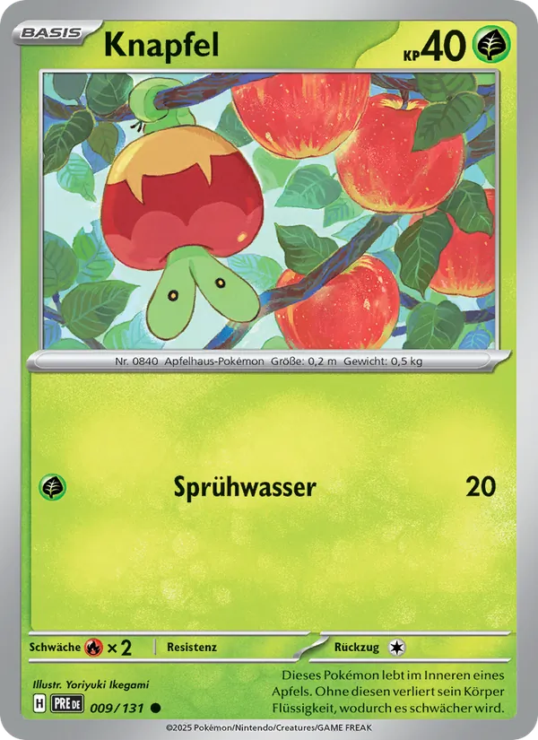 Knapfel Prismatische Entwicklungen 009/131