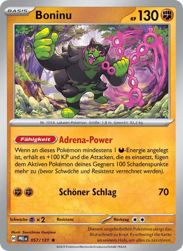 Boninu Prismatische Entwicklungen 057/131