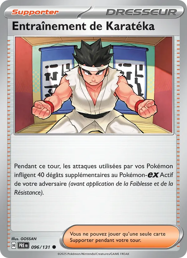 Entraînement de Karatéka Évolutions Prismatiques 096/131