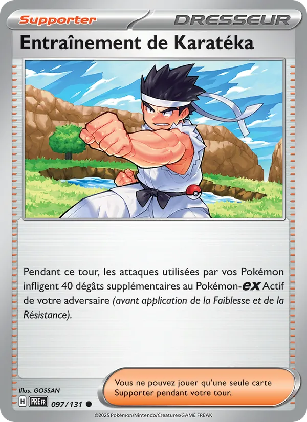 Entraînement de Karatéka Évolutions Prismatiques 097/131